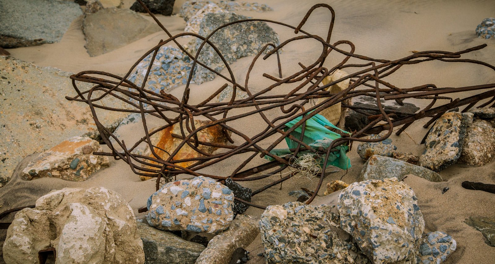 art-of-sandy-mo-seagate 2-49.jpg